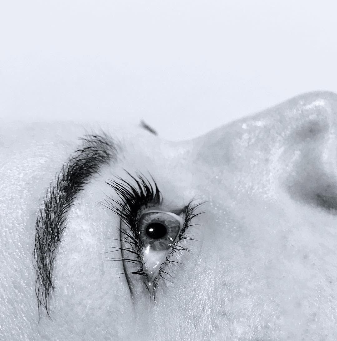 Black and white profile of a brow and lashes after a treatment at VELVET